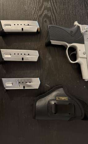 Smith & Wesson 6906, Venta de Armas de fuego en PR