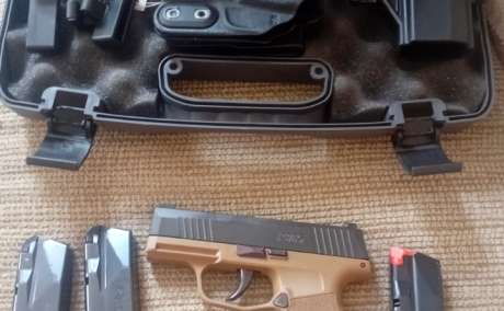 Venta, Venta de Armas de fuego en PR