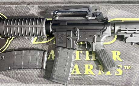 Pistol marca DPMS, Armas de fuego en PR