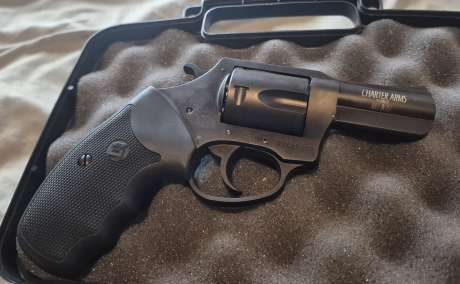 Charter Arm 44 special, Venta de Armas de fuego en PR