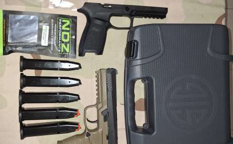 P 320, Venta de Armas de fuego en PR