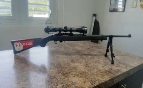 Ruger 10/22, Venta de Armas de fuego en PR