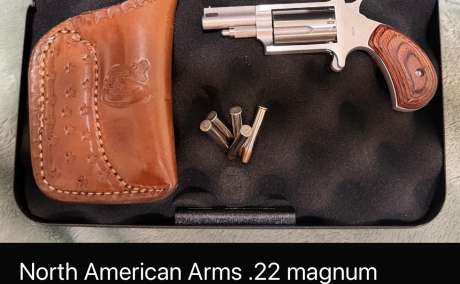 North American ARM .22 Magnum, Venta de Armas de fuego en PR