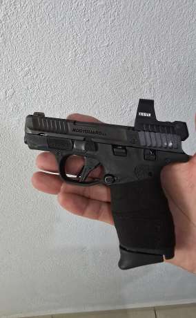 Bodyguard 2.0, Armas de fuego en PR