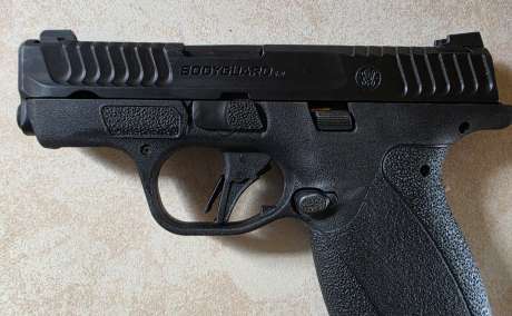 S&W Bodyguard, Venta de Armas de fuego en PR