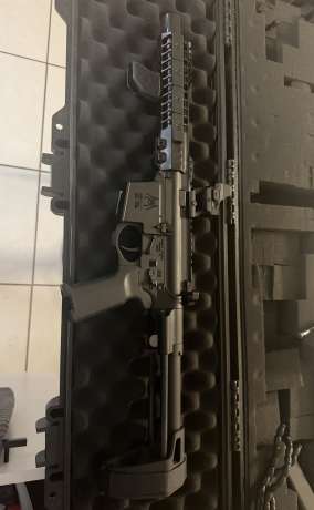 Spike Tactical SLR 9mm Pistol, Armas de fuego en PR