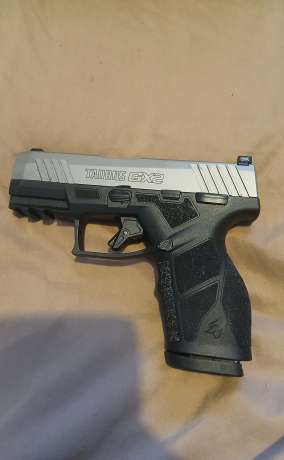 Taurus GX2, Armas de fuego en PR