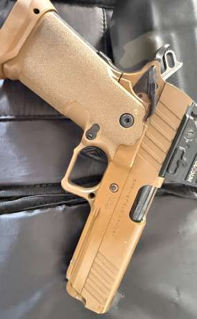 Springfield Prodigy, Venta de Armas de fuego en PR