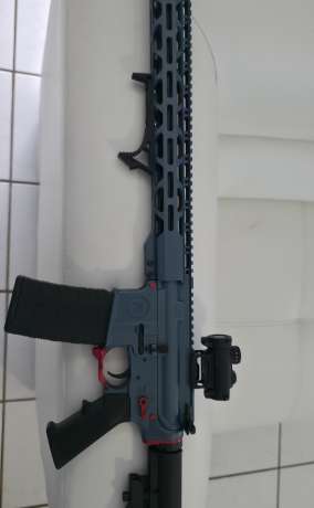 Radical RF-15, Venta de Armas de fuego en PR