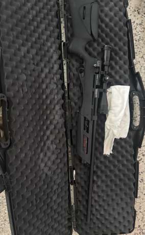 Umarex .25 cal, Armas de fuego en PR