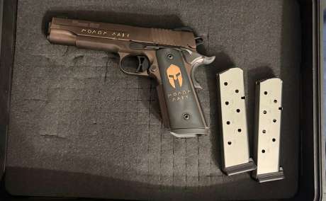 1911, Venta de Armas de fuego en PR