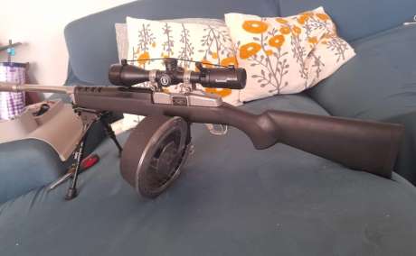 RUGER MINI-14 MOD. TARGET .223 BIEN PRECISO, Venta de Armas de fuego en PR