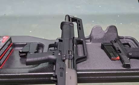 Keltec KSG 410, Armas de fuego en PR