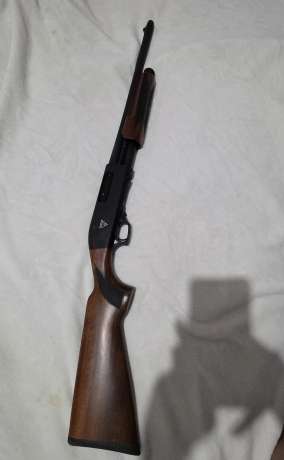 Es una turkia 12 cal, Venta de Armas de fuego en PR