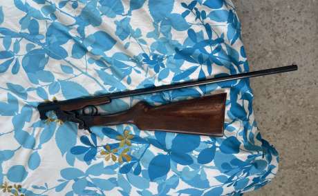 CV escopeta aibor calibre 410 , Venta de Armas de fuego en PR