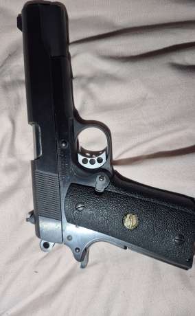 1911 Thompson, Venta de Armas de fuego en PR