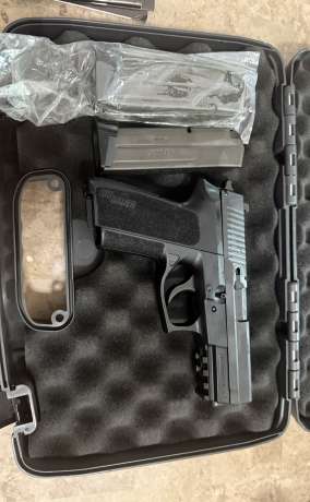 Sig sauer 2022, Venta de Armas de fuego en PR