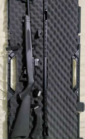 Ruger 10/22, Armas de fuego en PR