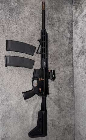 Sig sauer m400 Rose, Venta de Armas de fuego en PR