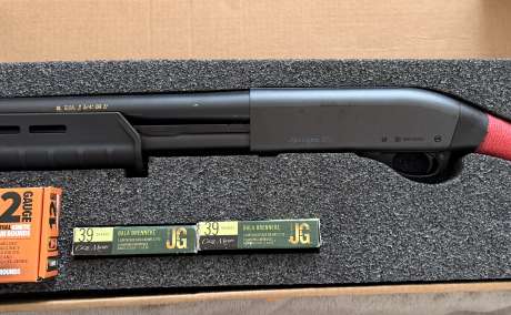 Remington 870, Armas de fuego en PR