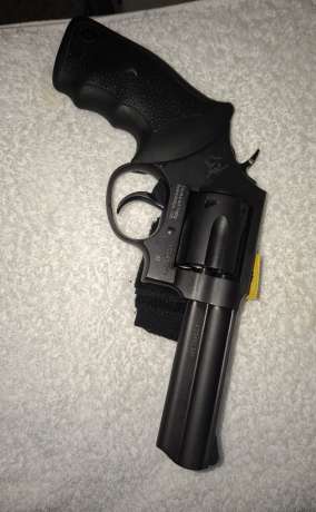 Tauros.mod.65, Venta de Armas de fuego en PR