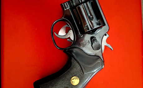 Smith & Wesson Mod 10, Venta de Armas de fuego en PR