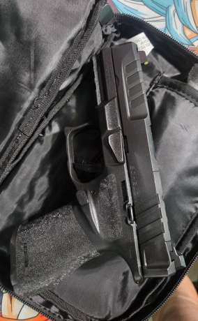 Echelon 4.0c , Venta de Armas de fuego en PR