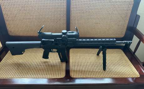 Custom Built AR 15, Venta de Armas de fuego en PR