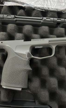 Módulo para P365X-XL color gris, Venta de Armas de fuego en PR